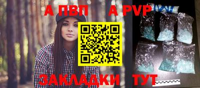 a pvp Кингисепп