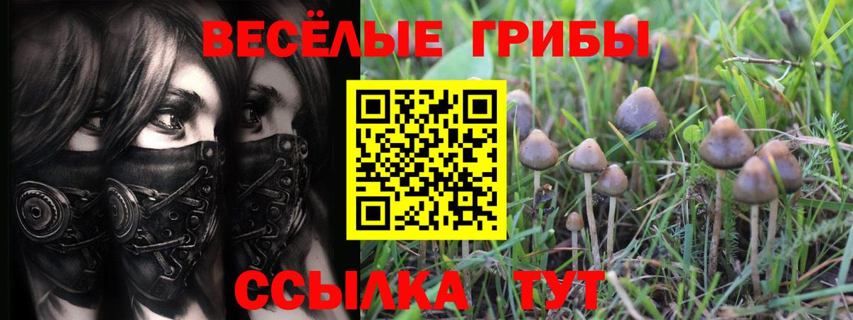 Галлюциногенные грибы мухоморы  Псилоцибиновые грибы прущие грибы  Куйбышев  купить закладку  Вход с VPN 